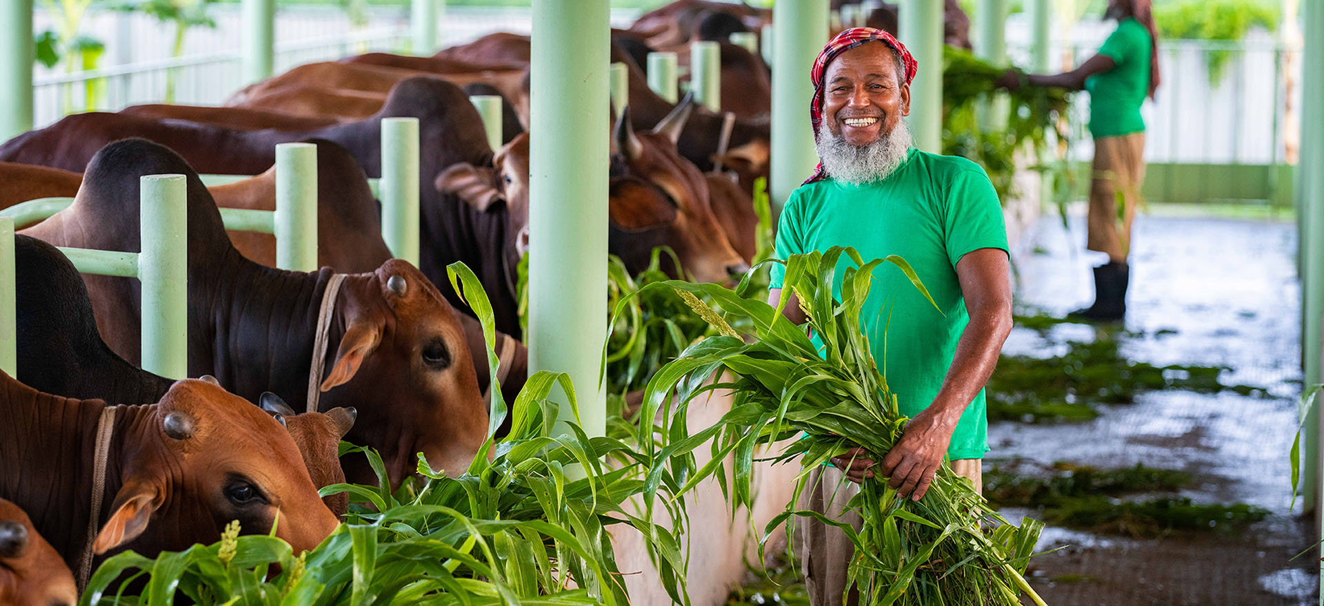 CountryFields & FarmHouse Company